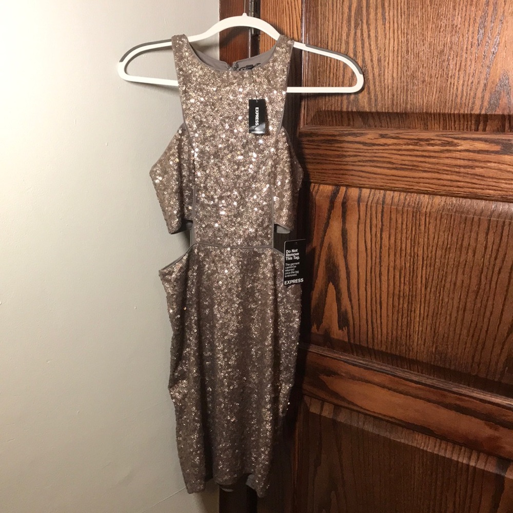 Golden sequin Express Dress